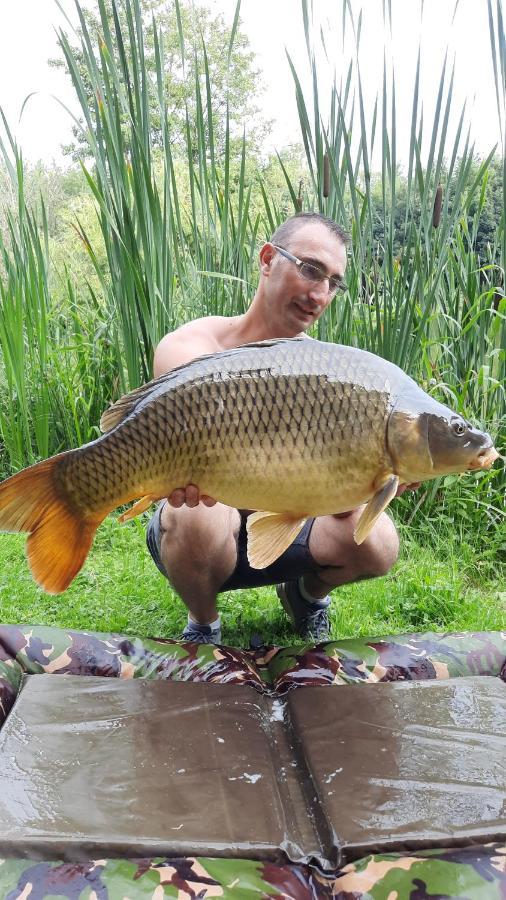 Lonny Les Etangs Du Moulin D'Harcy酒店 外观 照片